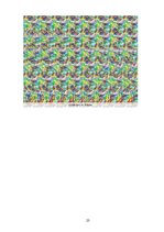 Referāts 'Stereogrammas', 24.