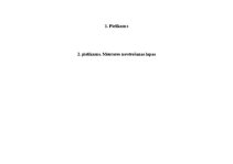 Prakses atskaite 'Skolotāja prakse III', 66.