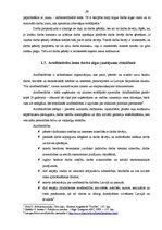 Diplomdarbs 'Darba alga un to noteicošie kritēriji Latvijas Republikas pašvaldībās', 29.