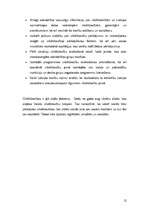 Referāts 'Konstitūcija un cilvēktiesības', 12.