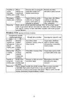 Prakses atskaite 'Kvalifikācijas prakse pirmsskolas izglītības iestādē', 13.