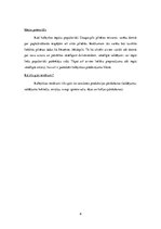 Biznesa plāns 'Biznesa plāns "EKO Icecream"', 8.