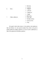 Biznesa plāns 'Biznesa plāns "EKO Icecream"', 11.