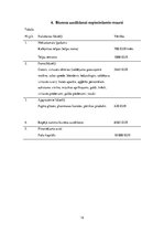 Biznesa plāns 'Biznesa plāns "EKO Icecream"', 12.