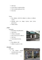 Biznesa plāns 'Biznesa plāns "EKO Icecream"', 17.