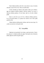 Biznesa plāns 'Biznesa plāns "EKO Icecream"', 20.