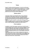 Referāts 'Kāpēc smēķēšana ir kaitīga?', 5.