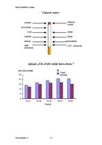 Referāts 'Kāpēc smēķēšana ir kaitīga?', 9.