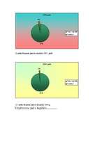 Konspekts 'Kooperatīvās sabiedrības "Ceļš" bilances aktīvu un pasīvu analīze un attīstība', 8.