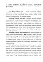 Referāts 'Soda izpildes pasākumu plāns', 2.