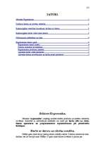 Referāts 'Datoru lietošanas ergonomika', 2.