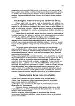 Referāts 'Datoru lietošanas ergonomika', 3.