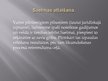 Prezentācija 'Latvijas Republikas Saeima', 22.