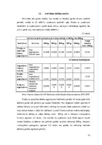 Referāts 'AS "Valmieras stikla šķiedra" maksātspējas un likviditātes analīze', 22.