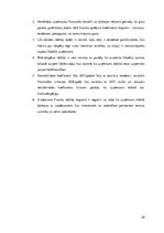 Referāts 'AS "Valmieras stikla šķiedra" maksātspējas un likviditātes analīze', 29.