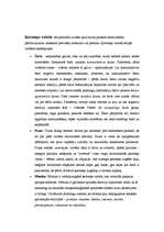 Referāts 'Neverbālā saskarsme', 5.