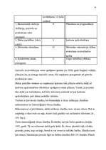 Biznesa plāns 'Jaunas ražotnes attīstības plānošana', 14.