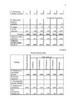 Biznesa plāns 'Jaunas ražotnes attīstības plānošana', 21.