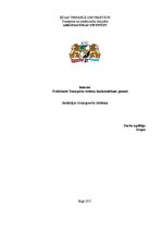 Referāts 'Aviācijas transporta sistēma', 1.