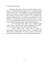 Referāts 'Aviācijas transporta sistēma', 9.