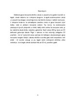 Referāts 'Aviācijas transporta sistēma', 11.