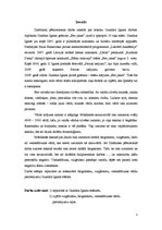 Referāts 'Vienkāršruna Gundara Ignata stāstos', 4.
