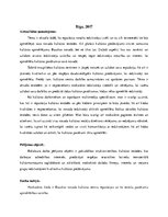 Konspekts 'Bakalaura darba tēzes. Bauskas novada kultūras centru reputācija vietējo iedzīvo', 2.