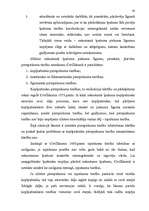 Diplomdarbs 'Nekustamā īpašuma atsavināšanas aspekti', 30.