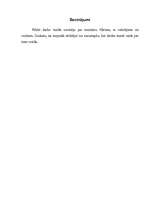 Referāts 'Ergonomikas prasības', 6.