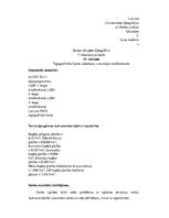 Paraugs 'Topogrāfiskās kartes veidošana, izmantojot ortofotokartes', 1.