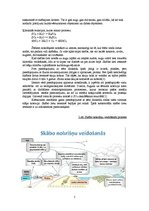 Referāts 'Jūras transporta radītais vides piesārņojums', 5.