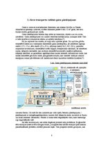 Referāts 'Jūras transporta radītais vides piesārņojums', 6.