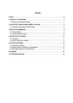 Referāts 'Datorspēles izstrāde un tās izmantošana mācību vielas apguvei fizikas stundās', 5.