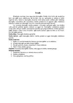 Referāts 'Datorspēles izstrāde un tās izmantošana mācību vielas apguvei fizikas stundās', 6.