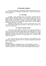 Referāts 'Datorspēles izstrāde un tās izmantošana mācību vielas apguvei fizikas stundās', 11.