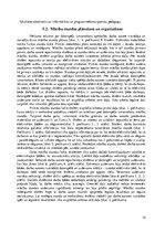 Referāts 'Datorspēles izstrāde un tās izmantošana mācību vielas apguvei fizikas stundās', 15.