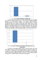 Referāts 'Datorspēles izstrāde un tās izmantošana mācību vielas apguvei fizikas stundās', 20.