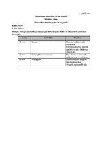 Referāts 'Datorspēles izstrāde un tās izmantošana mācību vielas apguvei fizikas stundās', 29.