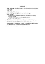 Referāts 'Datorspēles izstrāde un tās izmantošana mācību vielas apguvei fizikas stundās', 37.