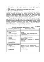 Referāts 'SIA "Stockmann" mārketinga plāna izstrādāšana', 21.