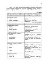 Referāts 'SIA "Stockmann" mārketinga plāna izstrādāšana', 23.