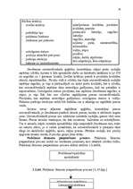 Referāts 'SIA "Stockmann" mārketinga plāna izstrādāšana', 24.