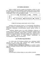 Referāts 'SIA "Stockmann" mārketinga plāna izstrādāšana', 54.