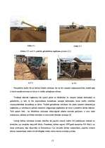 Referāts 'Dedzināmā kūdra – enerģijas ražošanai neizmantots dabas resurss', 13.