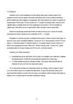 Referāts 'Dedzināmā kūdra – enerģijas ražošanai neizmantots dabas resurss', 14.