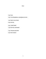 Referāts 'Eiropas valsts: Latvija', 2.