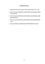 Referāts 'Nabadzība, tās rādītāji. Nabadzības sociālekonomiskās sekas', 14.