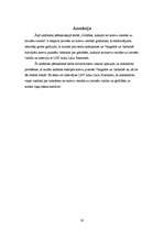 Referāts 'Grūtības, tulkojot no krievu valodas latviešu valodā', 30.