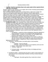 Konspekts 'Anatomijas eksāmena konspekts', 1.