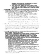 Konspekts 'Anatomijas eksāmena konspekts', 3.